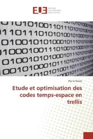 Etude et optimisation des codes temps-espace en trellis