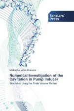 Numerical Investigation of the Cavitation in Pump Inducer