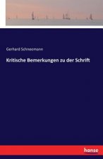 Kritische Bemerkungen zu der Schrift
