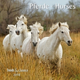 Pferde Horses 2018 - Broschürenkalender - Wandkalender - mit herausnehmbarem Poster - Format 30 x 30 cm