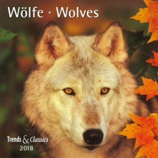 Wölfe Wolves 2018 - Broschürenkalender - Wandkalender - mit herausnehmbarem Poster - Format 30 x 30 cm