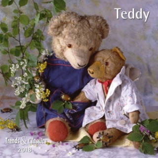 Teddy 2018 - Broschürenkalender - Wandkalender - mit herausnehmbarem Poster - Format 30 x 30 cm