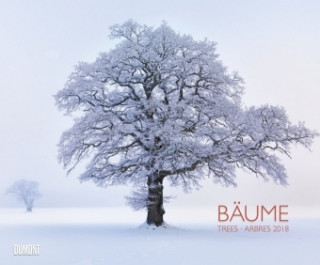 Bäume 2018