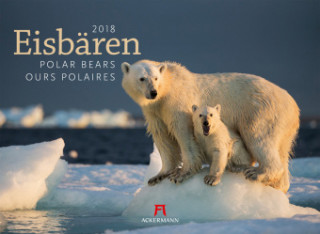 Eisbären 2018