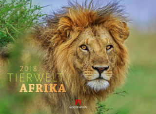 Tierwelt Afrika 2018