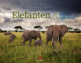 Elefanten 2018