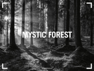 Mystic Forest 2018