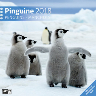 Pinguine 30x30 2018
