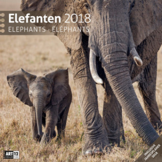 Elefanten 30x30 2018