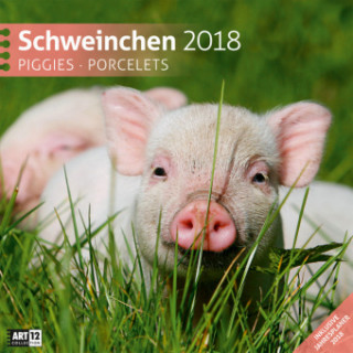 Schweinchen 30x30 2018