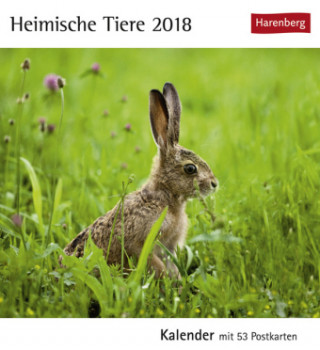 Heimische Tiere - Kalender 2018