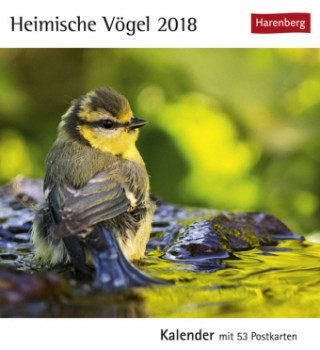 Heimische Vögel - Kalender 2018