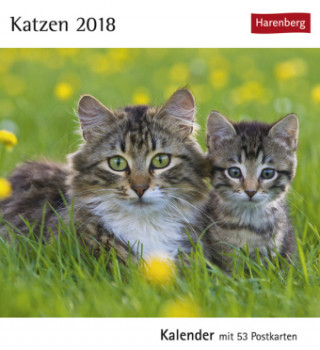 Katzen - Kalender 2018