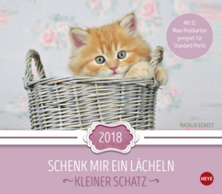 Kleiner Schatz Maxi Postkartenkalender - Kalender 2018