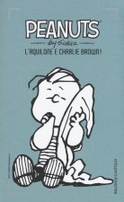 L'aquilone e Charlie Brown!