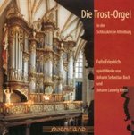 Die Trostorgel In Altenburg
