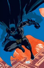 BATMAN HAUNTED KNIGHT (NEW EDI