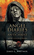 Angel Diaries and the Antichrist