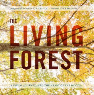 Living Forest