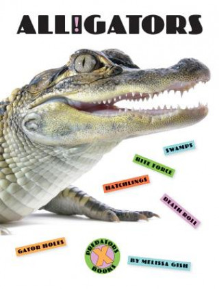 X-BKS ALLIGATORS
