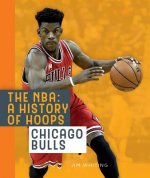 The Nba: A History of Hoops: Chicago Bulls