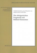 CHI-DIE ALTUIGURISCHEN FRAGMEN
