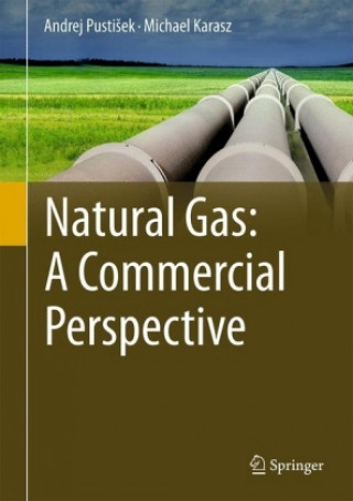 Natural Gas: A Commercial Perspective