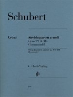 Streichquartett a-moll op. 29 D 804 