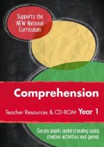 Year 1 Comprehension Teacher Resources