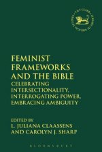 Feminist Frameworks and the Bible