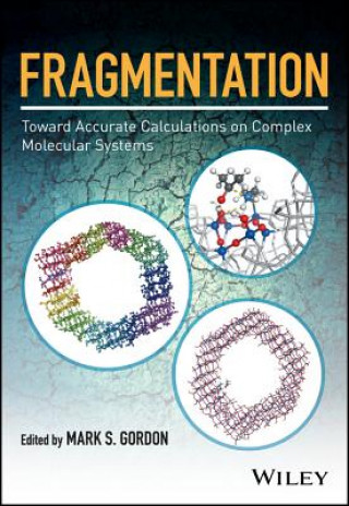 Fragmentation - Toward Accurate Calculations on Complex Molecular Systems