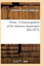 These: l'Emancipation Et Les Mineurs Emancipes