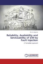 Reliability, Availability and Serviceability of S/W-by Fault Injection