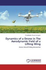 Dynamics of a Drone in The Aerodynamic Field of a Lifting Wing