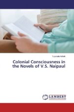 Colonial Consciousness in the Novels of V.S. Naipaul