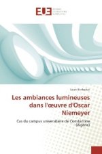 Les ambiances lumineuses dans l'oeuvre d'Oscar Niemeyer