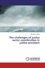 The challenges of justice sector coordination in justice provision