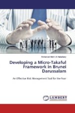 Developing a Micro-Takaful Framework in Brunei Darussalam