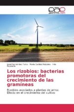 Los rizobios: bacterias promotoras del crecimiento de las gramíneas