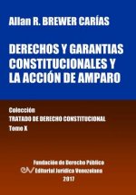 Derechos y garantias constitucionales y la accion de amparo. Tomo X. Coleccion Tratado de Derecho Constitucional