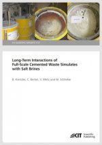 Long-Term Interactions of Full-Scale Cemented Waste Simulates with Salt Brines
