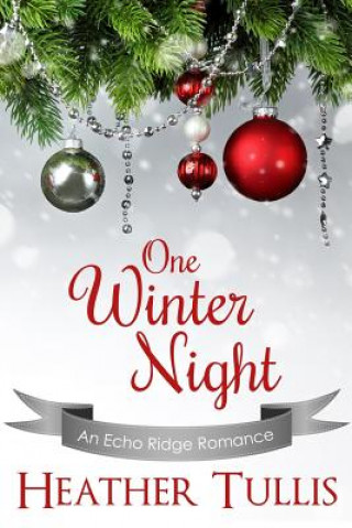 1 WINTER NIGHT