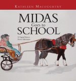 Midas Goes to School