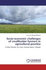 Socio-economic challenges of smallholder farmers in agricultural practice