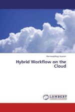 Hybrid Workflow on the Cloud