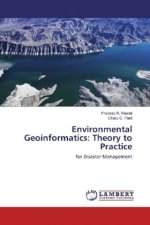 Environmental Geoinformatics: Theory to Practice