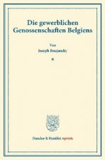 Die gewerblichen Genossenschaften Belgiens.