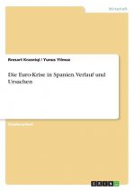Die Euro-Krise in Spanien. Verlauf und Ursachen