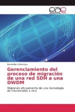 Gerenciamiento del proceso de migración de una red SDH a una DWDM