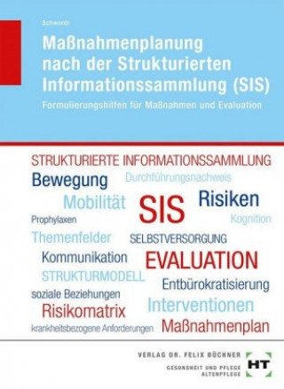 Maßnahmenplanung nach der Strukturierten Informationssammlung (SIS)